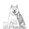 ペットぬりえ