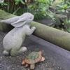 タナカナオト