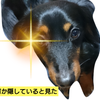 くるみ餅もちもち