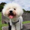 わんすりーる