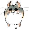 亜科しっく