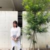miimo_design