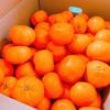 mikan_9