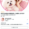 whitemiky888