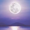 Moonlight219