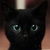 黒猫みかん