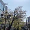 JiyugaokaLAB