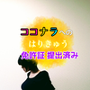 鍼灸師の那智