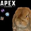 bunnyちゃん