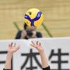 れーちゃん！