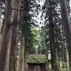 メンタル心理カウセラー取得見込み人