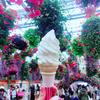 satomi_ms