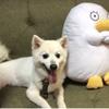 ピアノラブ。