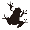 かえるのこども