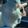 あなたの味方だよ
