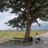 沖浦　真代