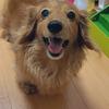 くうここ