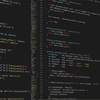 websouth