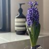 JILL0429