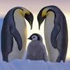 初めのペンギン