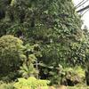pix4020