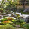 jardinyuki