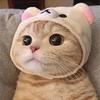 ユウです。