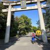 みか369　タロットリーダー　数秘11