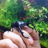 生物講師 北島