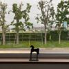 yamadadesign