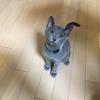 ゆずまるん
