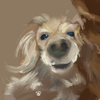 WADCH