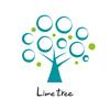 Lime Tree