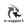 esupport