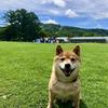 サロンオーナー｜気持ちの良い取引を♪