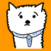 Saka_Moto_Cat