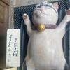 TM  ～ココロ～