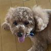 Chida Shinji