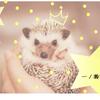 一ノ瀬 彩希