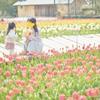 いお 幼稚園教諭 書道家
