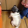 オオニシ　ミヨコ