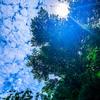 うわの空