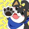 ニクキュー1128