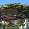 菅原朝陽