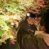 看護師しゅんき　SNS画像作成・運用代行