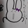ちぇるちぇるまきまき