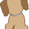 dogdog221