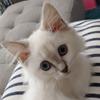 3児ママあーちゃん