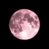 moon039