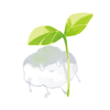 木雲くも